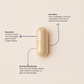 Purefect Premium NAD+ | 80 Capsules
